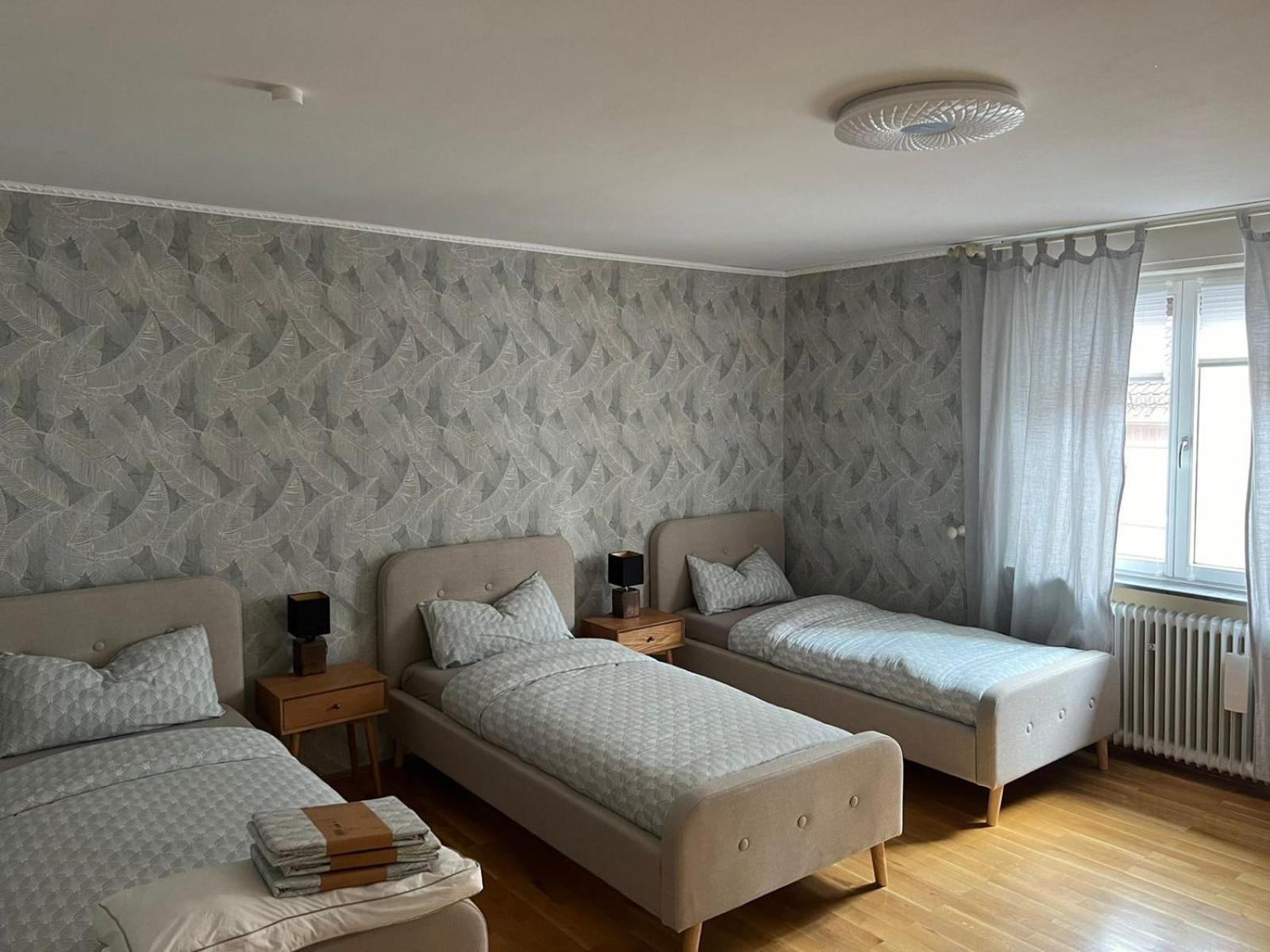 Albert-Schulte-Park Apartment- Worms Esterno foto